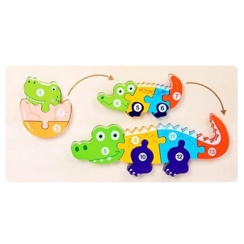 پازل مراحل رشد سایز بزرگ