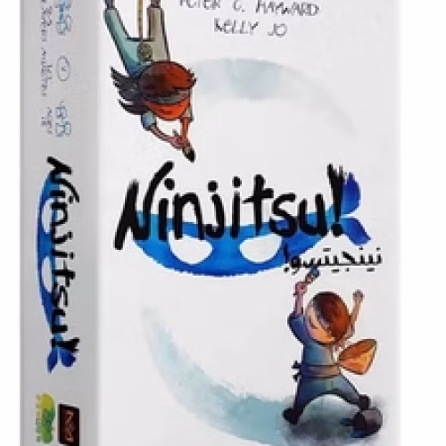 خرید بازی فکری نینجیتسو